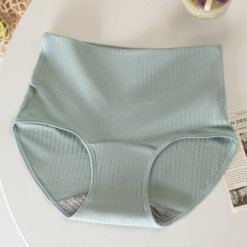 Women’s Leak-Proof Absorbent Underwear – High Waisted Postpartum Incontinence Panties in dark blue colour