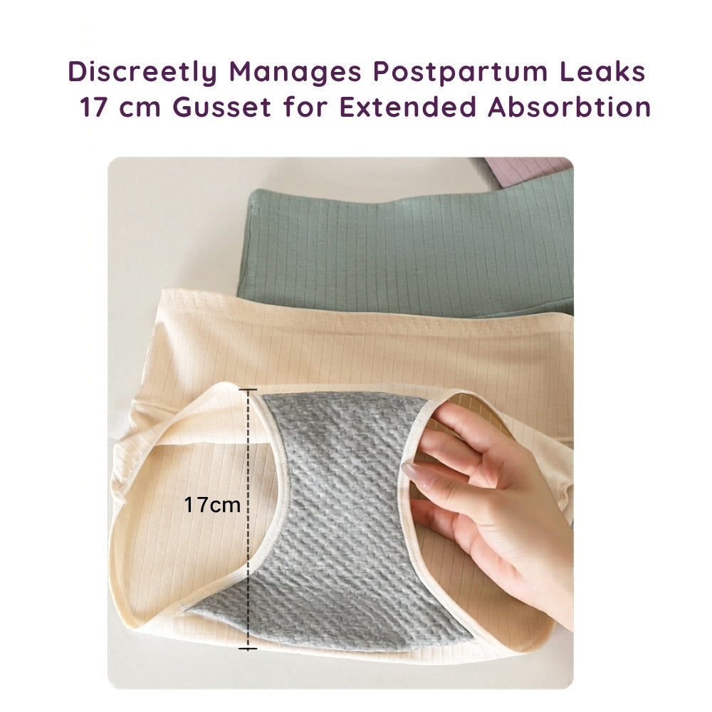 A hand holding up Beige color Women’s Leak-Proof Absorbent Brief – High Waist Postpartum Incontinence Underwear 17 cm gusset for extended absorption with text about managing postpartum leaks.